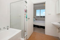 Premium40155166.jpg
