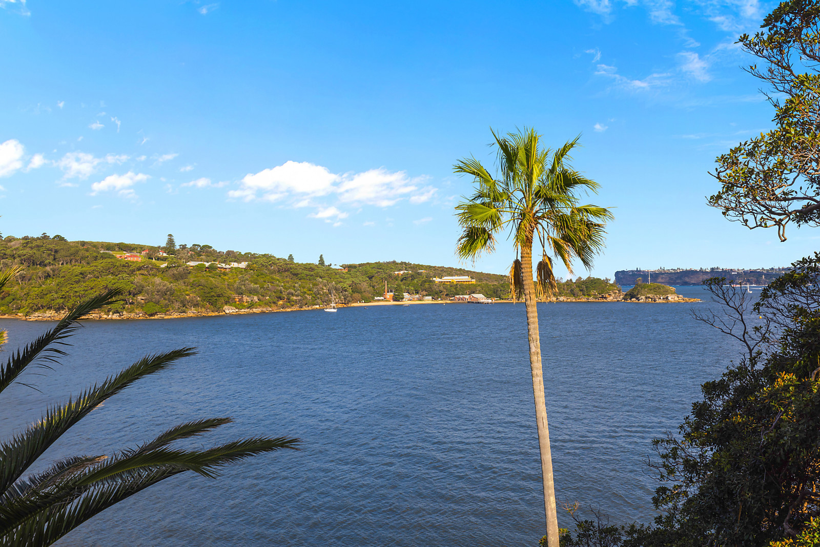 4/2 Addison Road, Manly, Manly - Thumbnail 7
