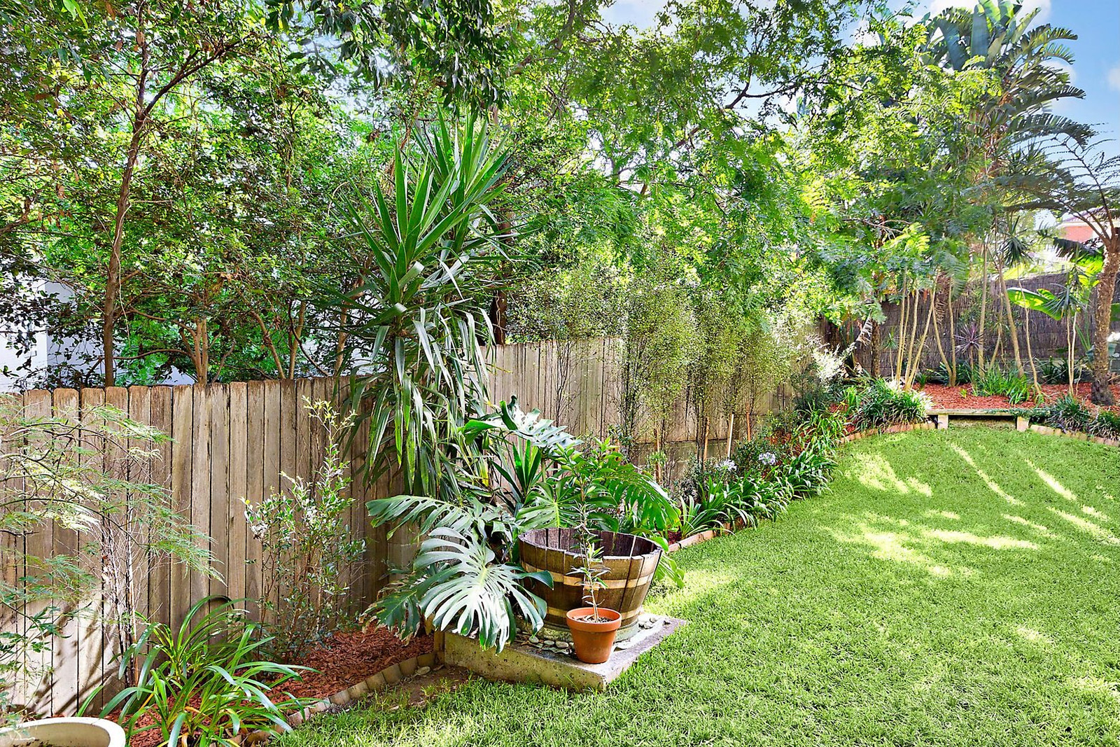 1/29-33 Waine Street, Freshwater NSW 2096, Freshwater - Thumbnail 4
