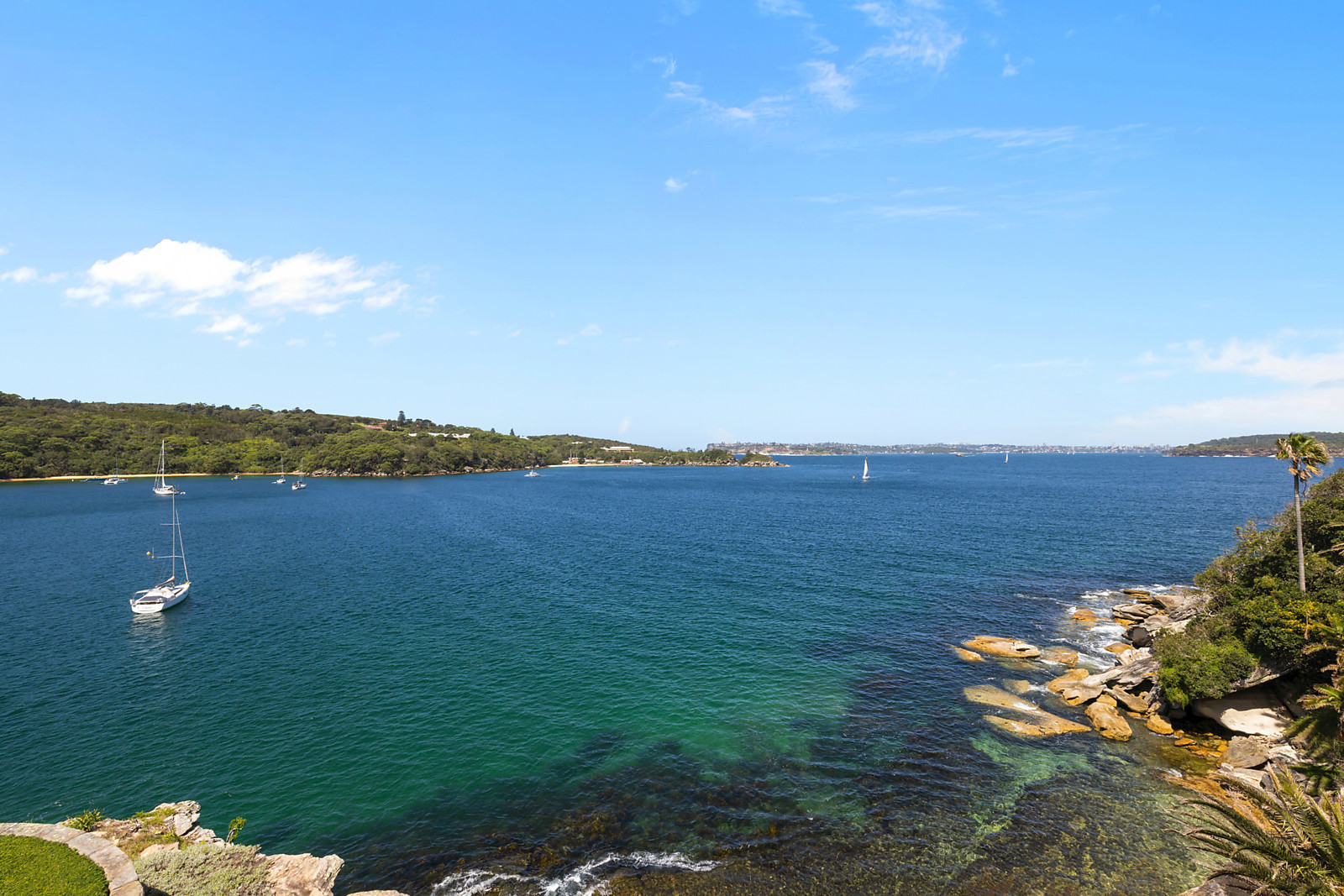 5 & 6/8 Addison Road, Manly featured