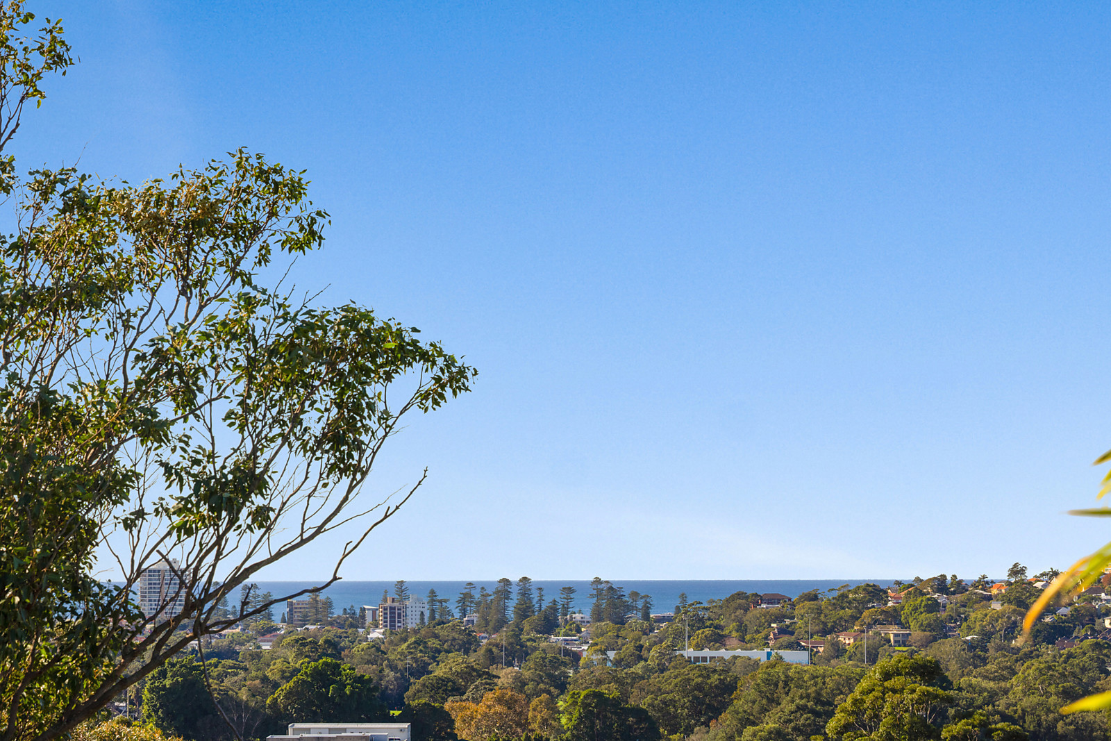 9 Marinella Street, Manly Vale, Manly Vale - Thumbnail 2