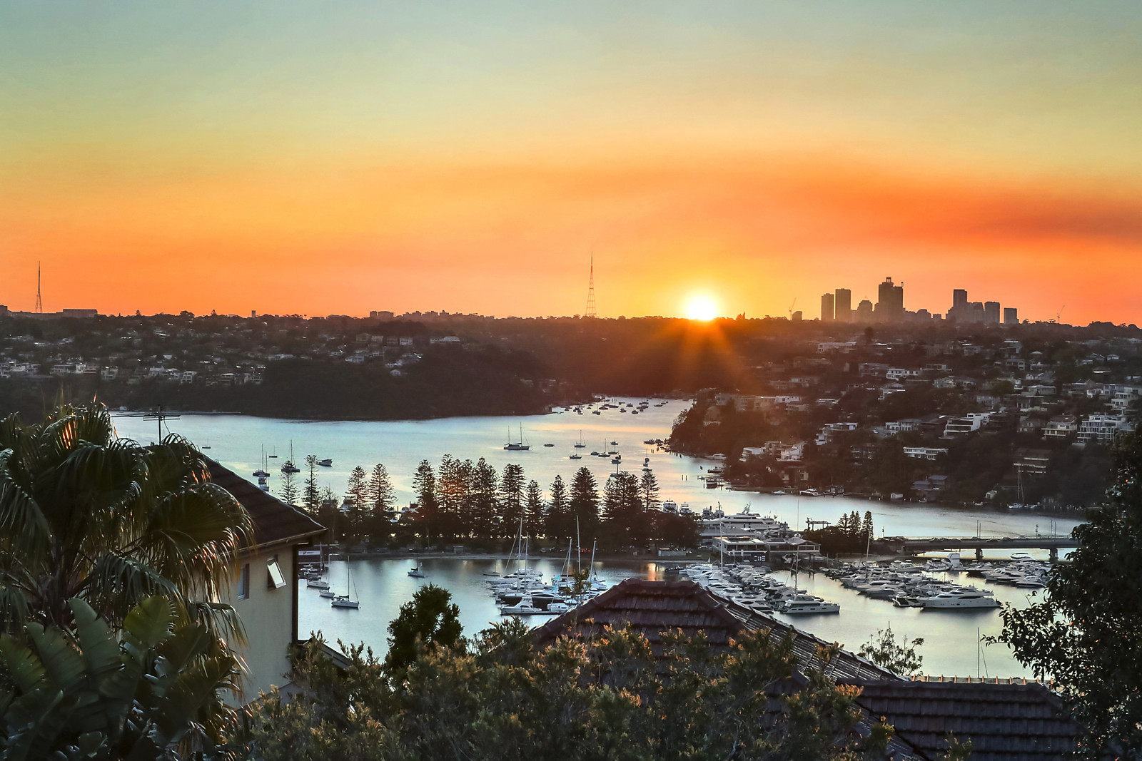 59 Beatrice Street, Balgowlah Heights featured