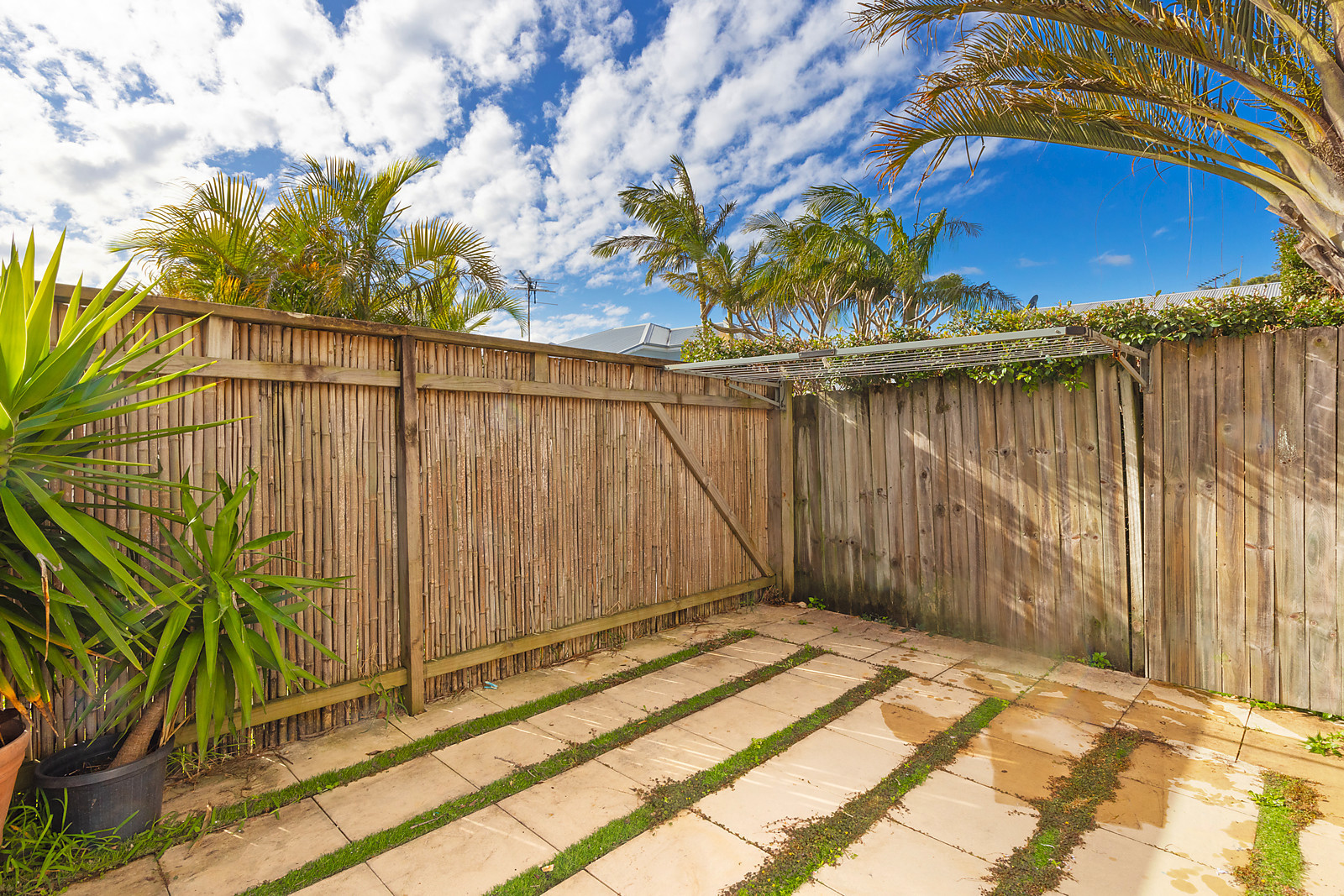 1/1A Banksia Street, Dee Why NSW 2099, Dee Why - Thumbnail 2