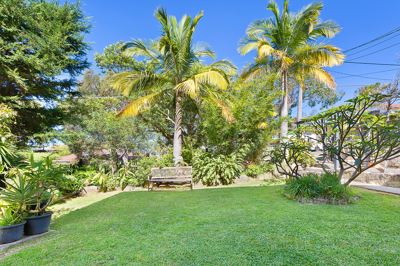 1/95 West Street, Balgowlah NSW 2093, Balgowlah - Thumbnail 4