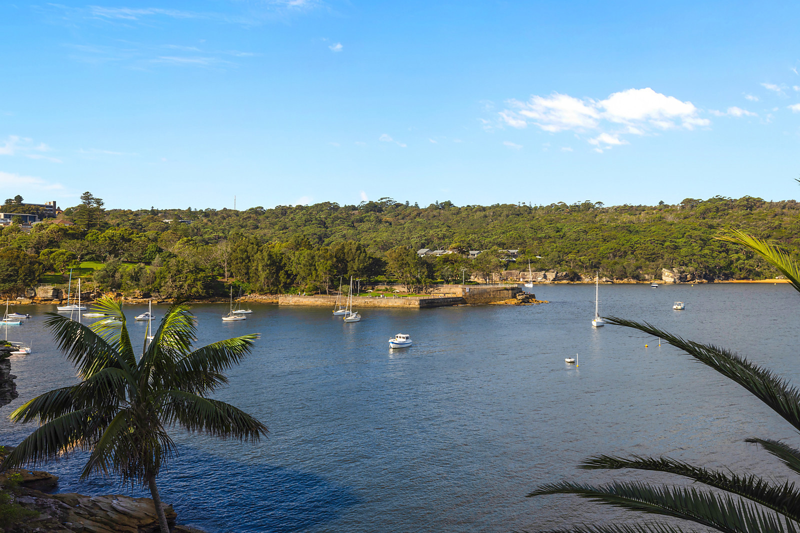 4/2 Addison Road, Manly, Manly - Thumbnail 8