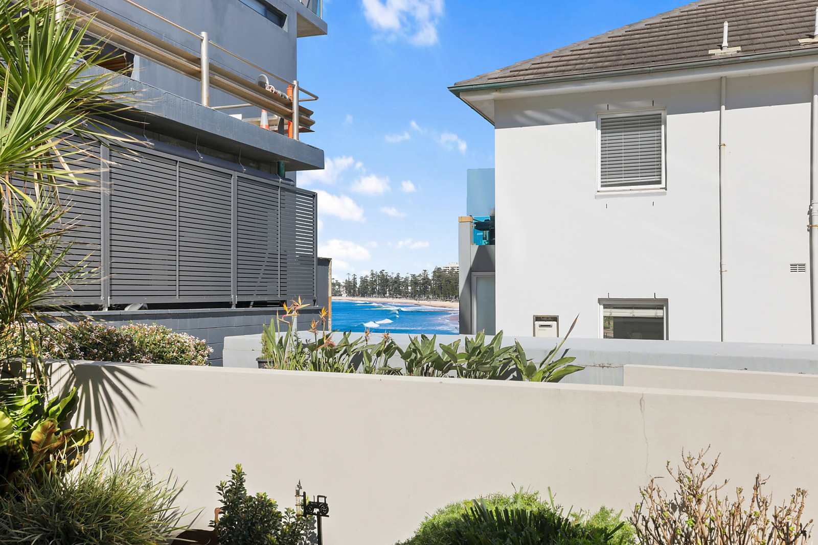 4/1 Greycliffe Street, Queenscliff NSW 2096, Queenscliff - Thumbnail 5