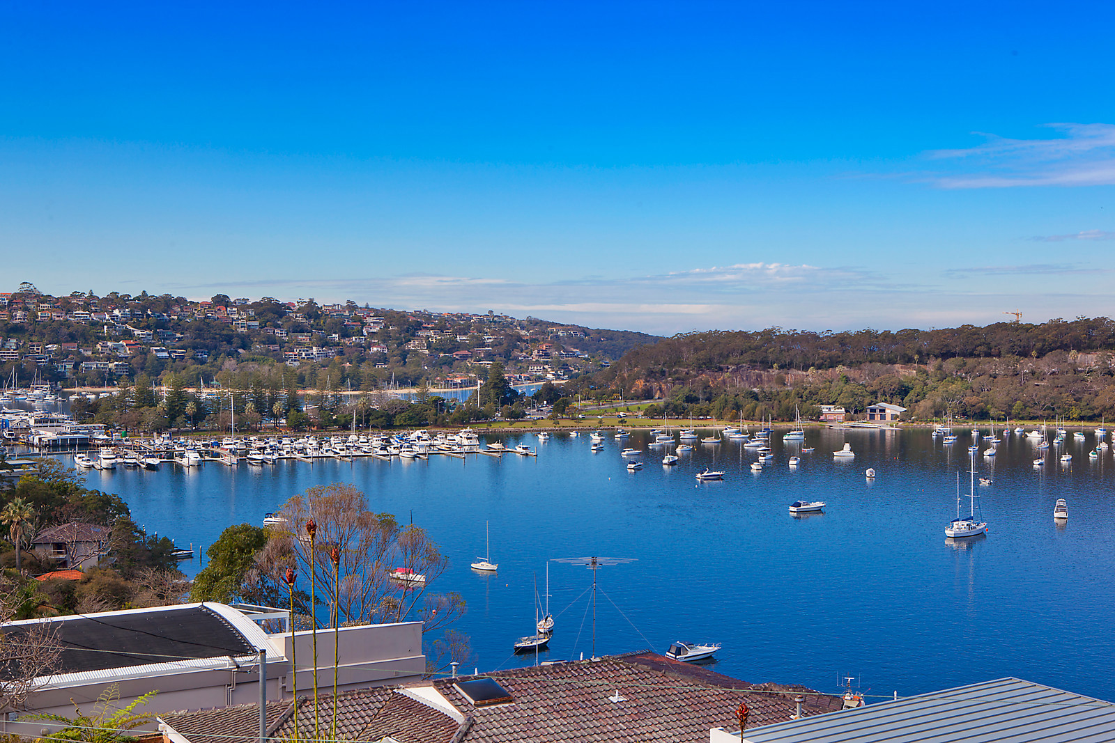 42 Seaforth Crescent, Seaforth NSW 2092, Seaforth - Thumbnail 5