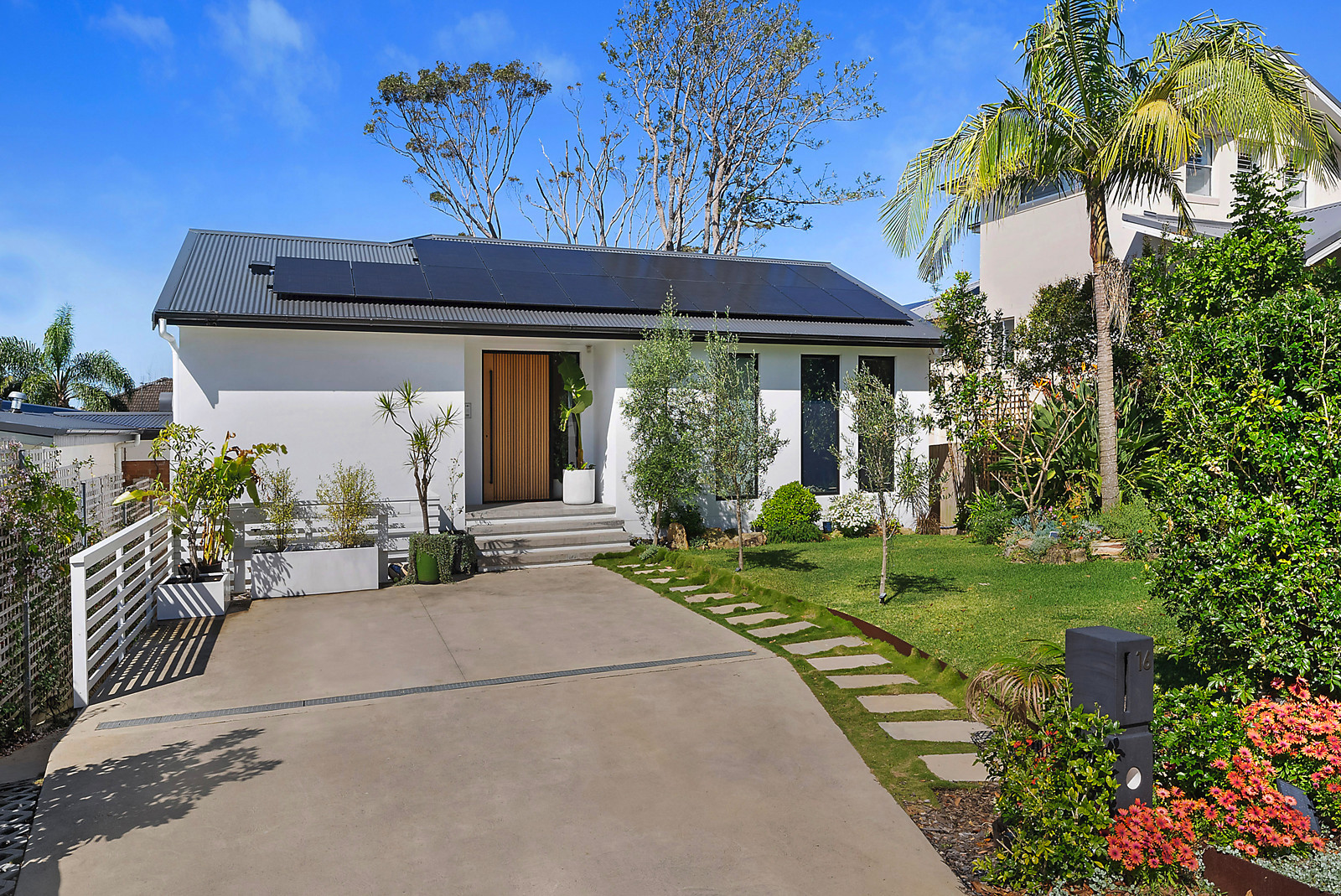 16 McDonald Street, Freshwater NSW 2096, Freshwater - Thumbnail 5