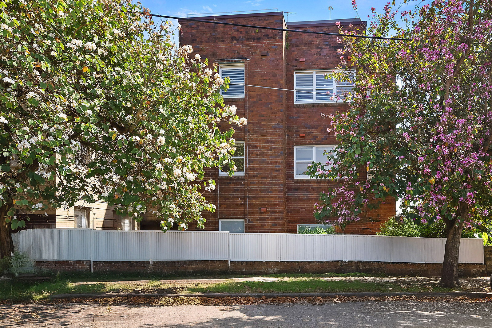 4/161 Sydney Road, Fairlight NSW 2094, Fairlight - Thumbnail 5