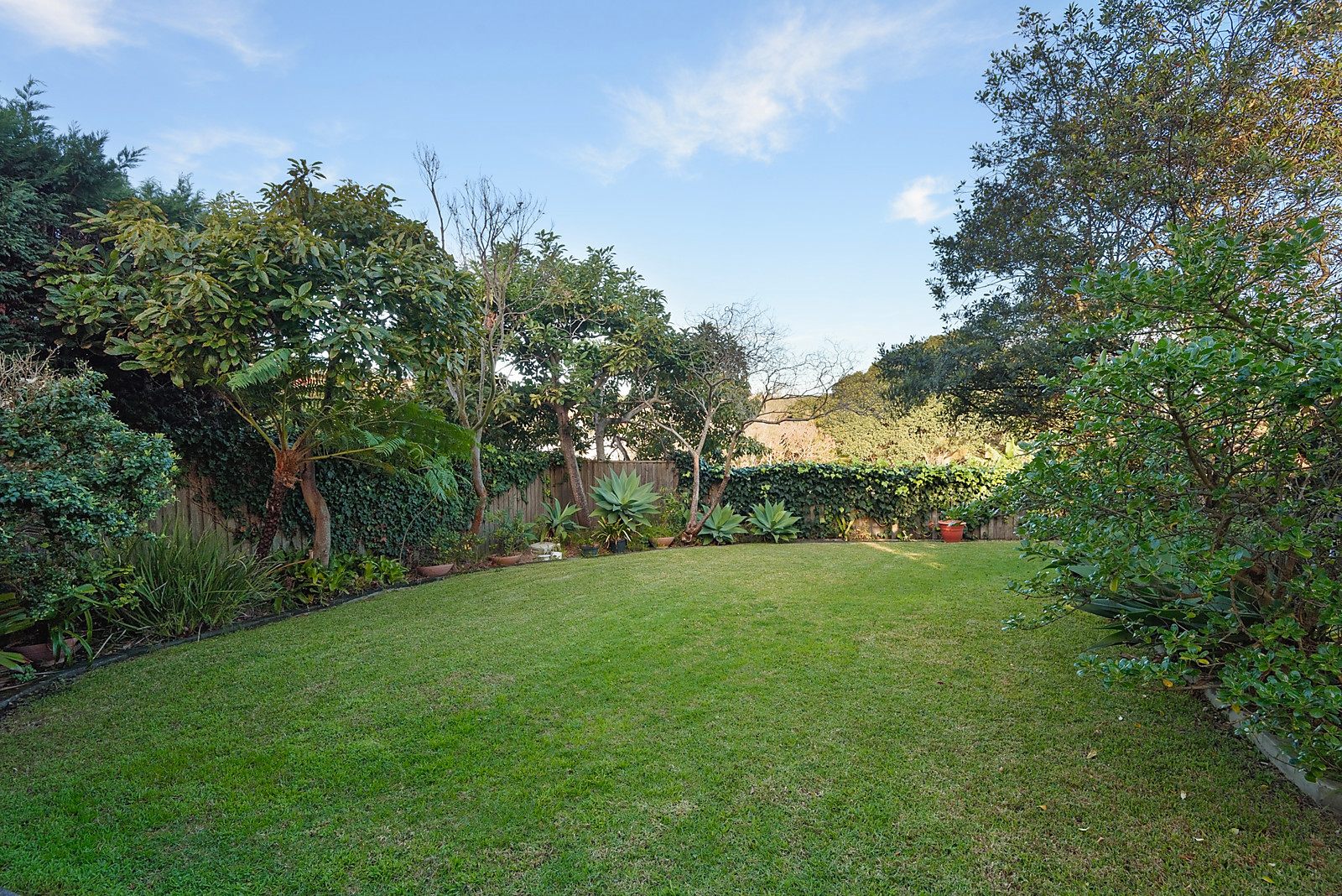 2/66  Addison Road, Manly NSW 2095, Manly - Thumbnail 4