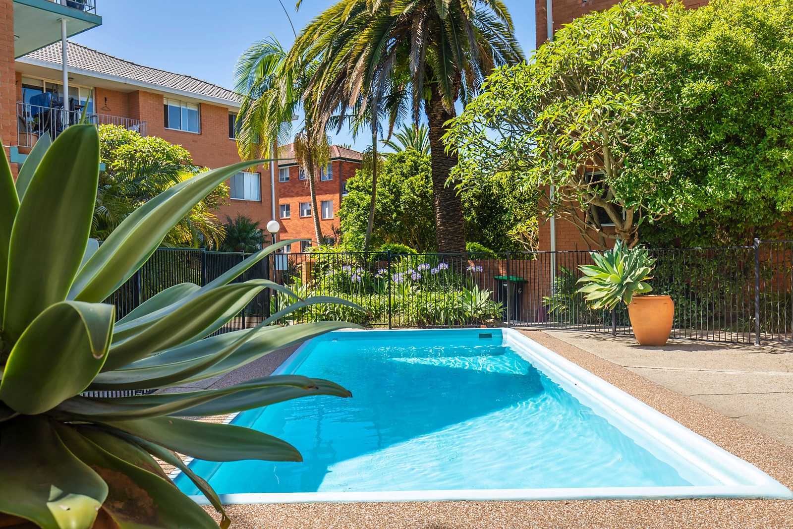 4/4 Greenwood Place, Freshwater NSW 2096, Freshwater - Thumbnail 5