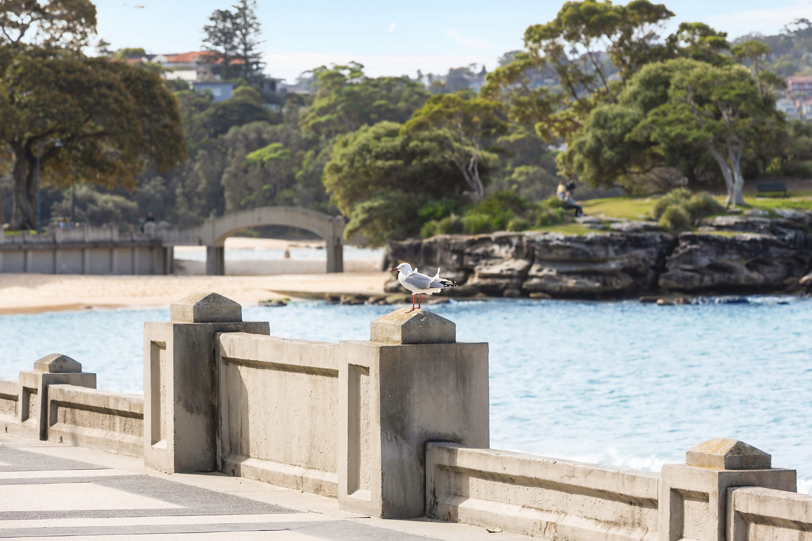 9/238 Raglan Street, Mosman, Mosman - Thumbnail 4