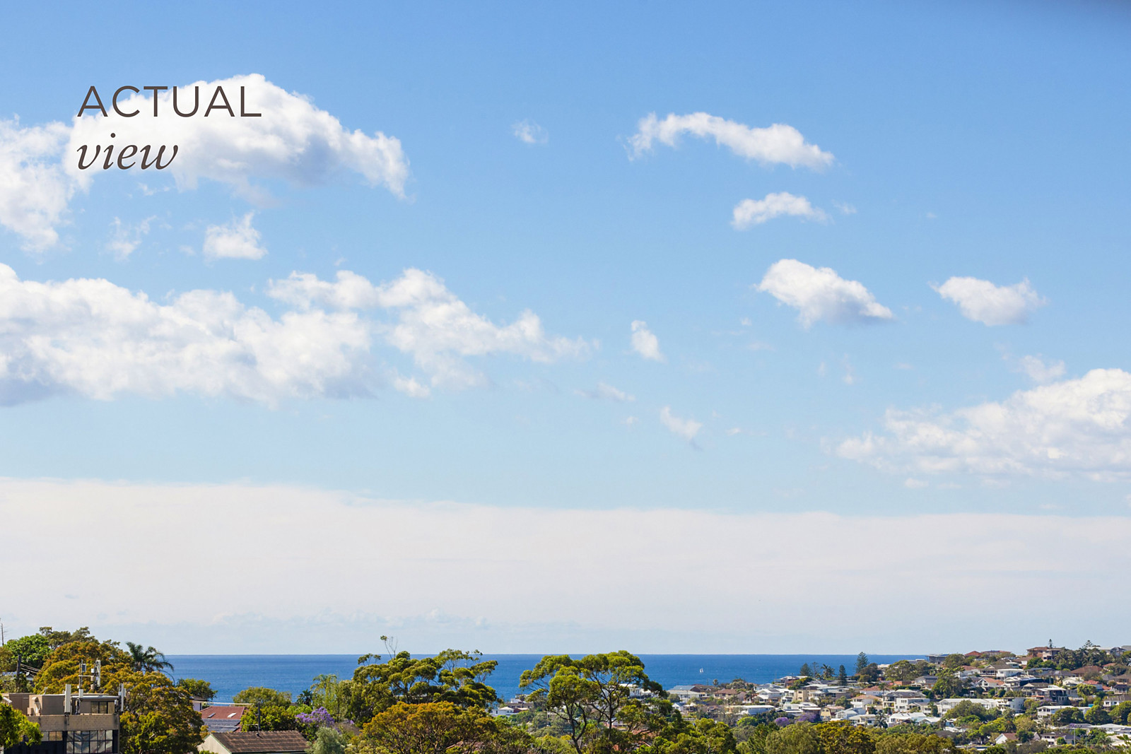 20A Moorilla Street, Dee Why, Dee Why - Thumbnail 2