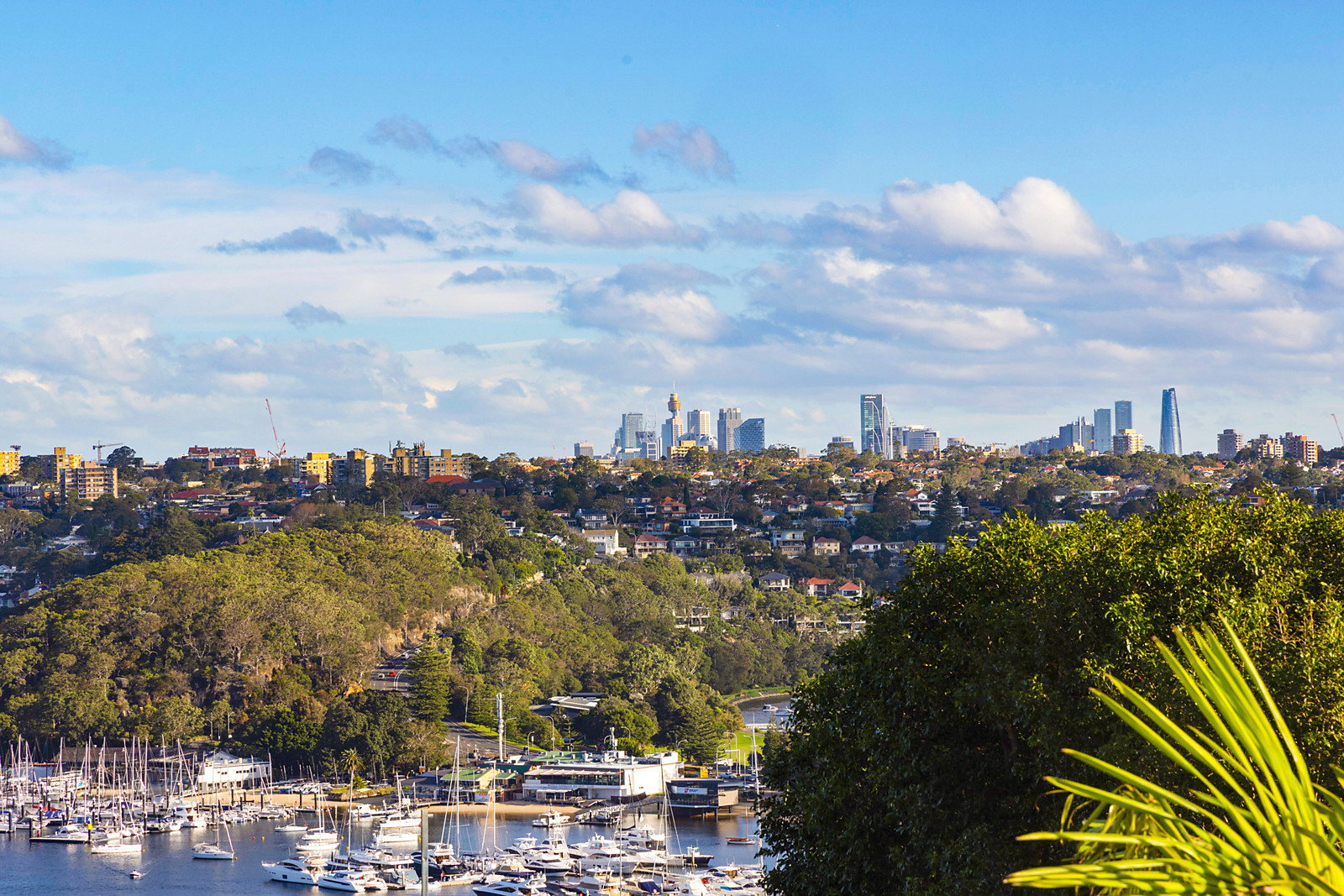 3/41 Ethel Street, Seaforth NSW 2092, Seaforth - Thumbnail 4