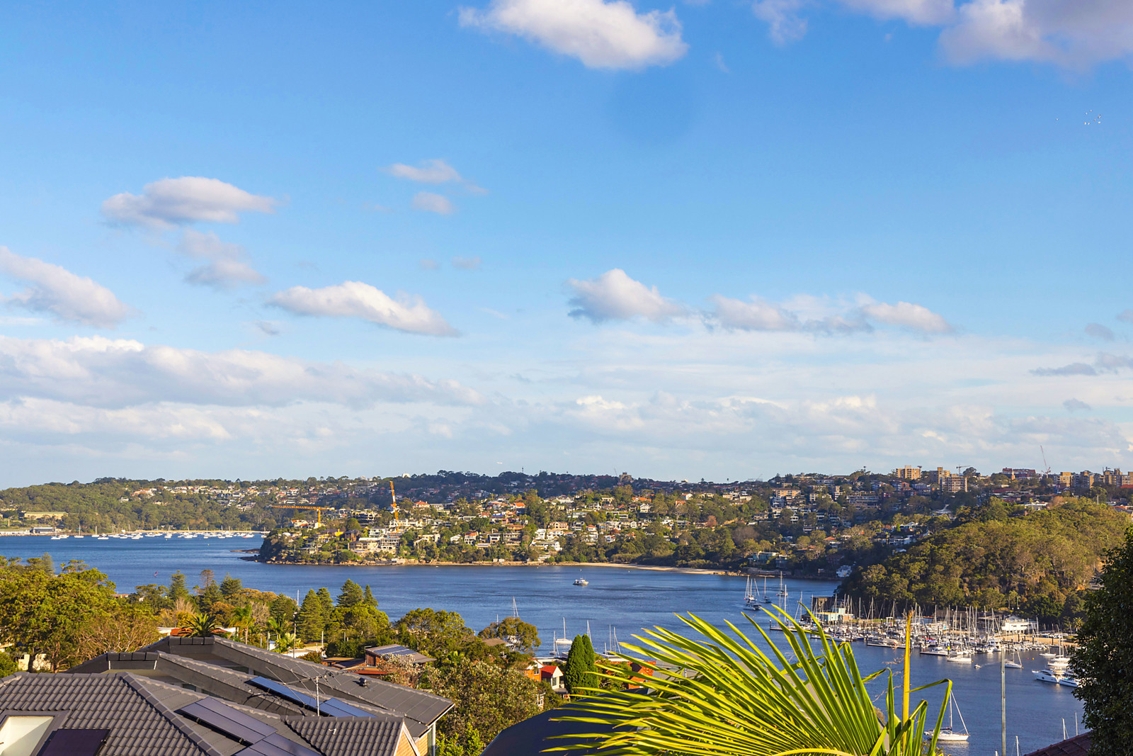3/41 Ethel Street, Seaforth NSW 2092, Seaforth - Thumbnail 5